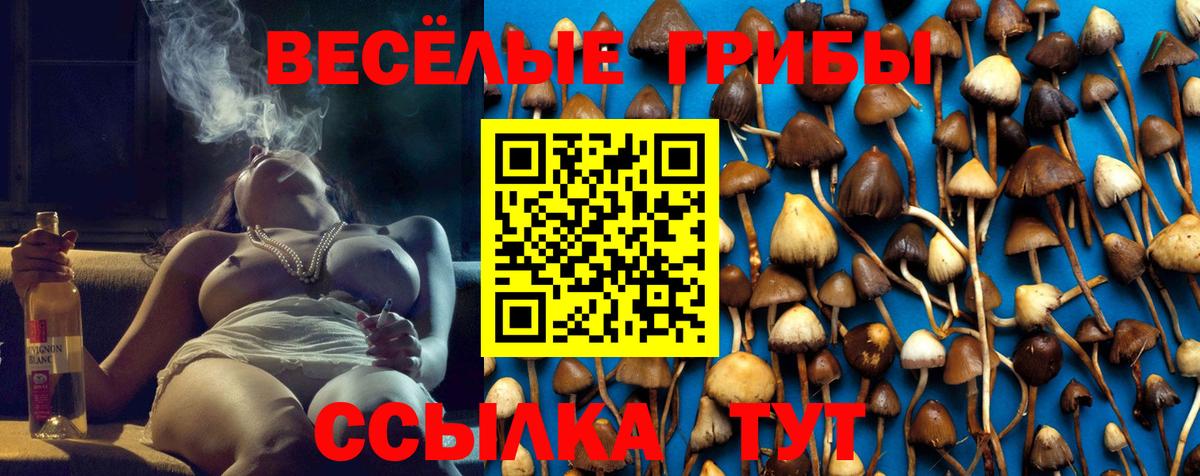 цена наркотик  Вход с VPN  Алапаевск  Галлюциногенные грибы Magic Shrooms 